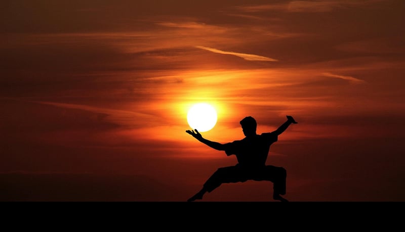 Sun Style Tai Chi Poses